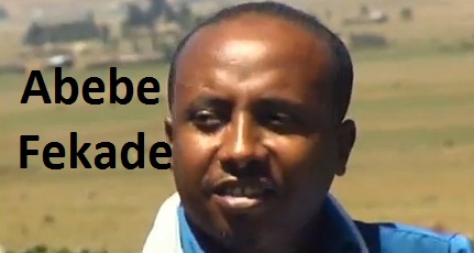 Abebe Fekade